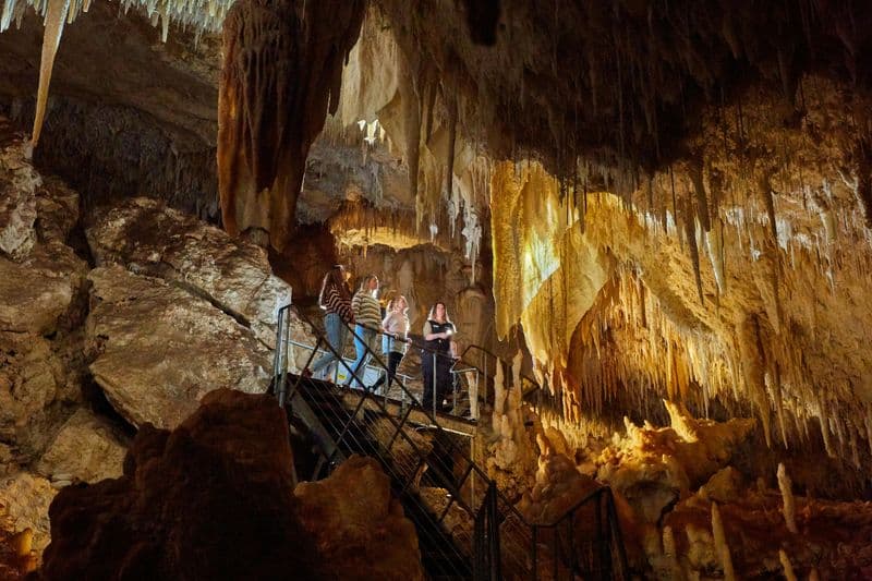 Billet Visite guidée de la Jewel Cave en Australie occidentale