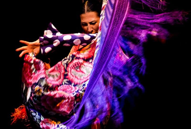Musée de la Danse Flamenco - Spectacle uniquement