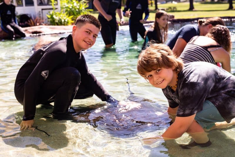 Billet Irukandji Shark & Ray Rencontres