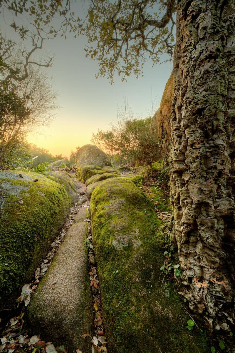 Couvent des Capucins: Billet d'entrée