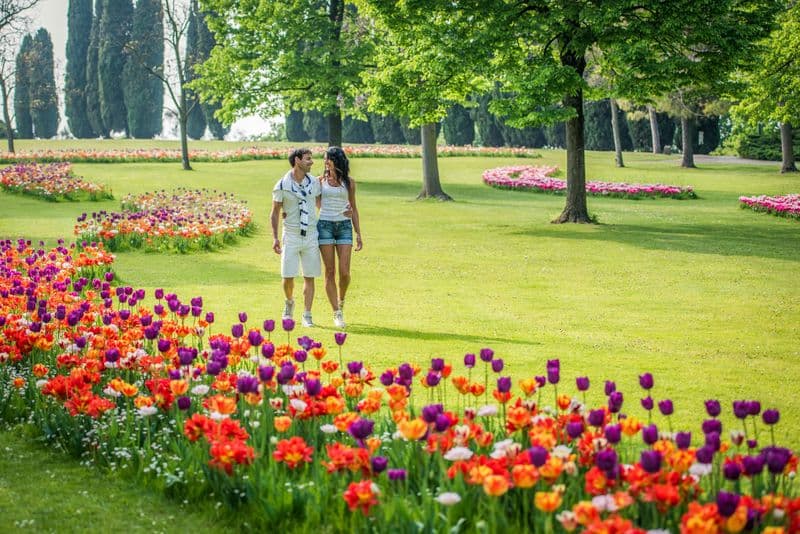 Parco Giardino Sigurtà : Open Date Ticket