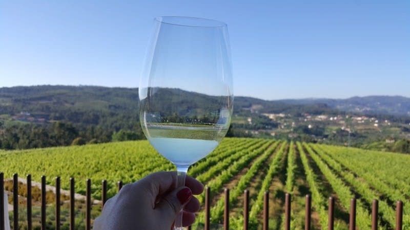Billet Région Vinho Verde : visite en petit groupe de Porto avec déjeuner