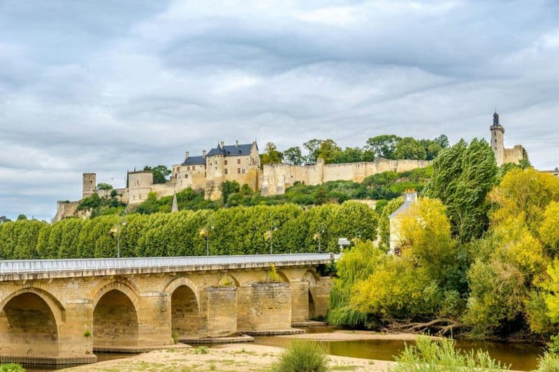 Billet Vallée de la Loire : Visite guidée des vignobles de Chinon et Bourgueil depuis Tours + dégustation de vins