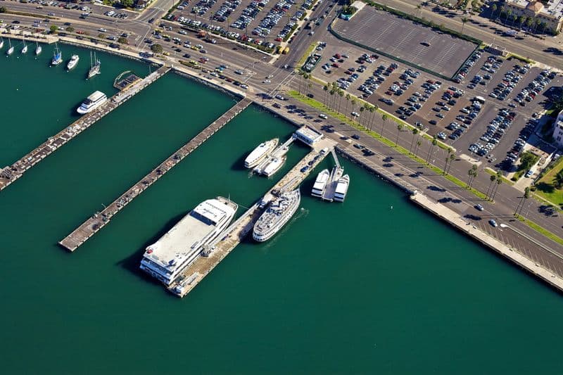 Observation de baleines et de dauphins à San Diego