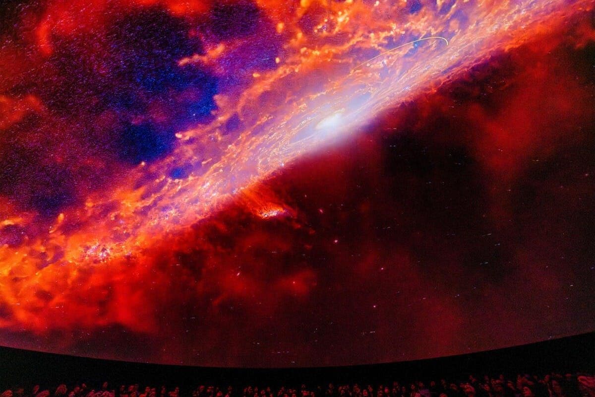 Billet Musée américain d'histoire naturelle (AMNH) : Toutes les expositions payantes