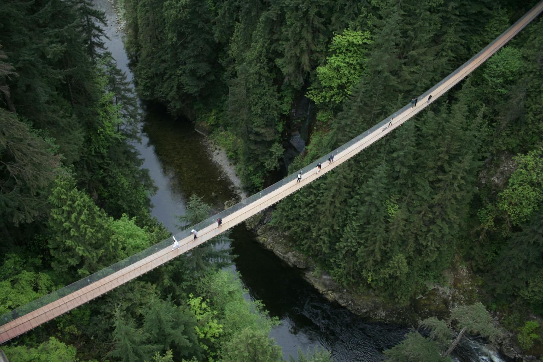 Billet Vancouver : Parc du pont suspendu de Capilano et visite de la ville