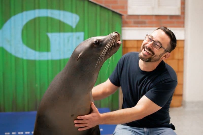 Billet Aquarium de Géorgie : Rencontre avec les lions de mer