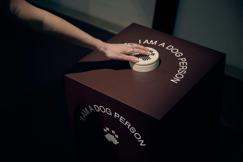 National Gallery of Victoria : Exposition "Cats & Dogs