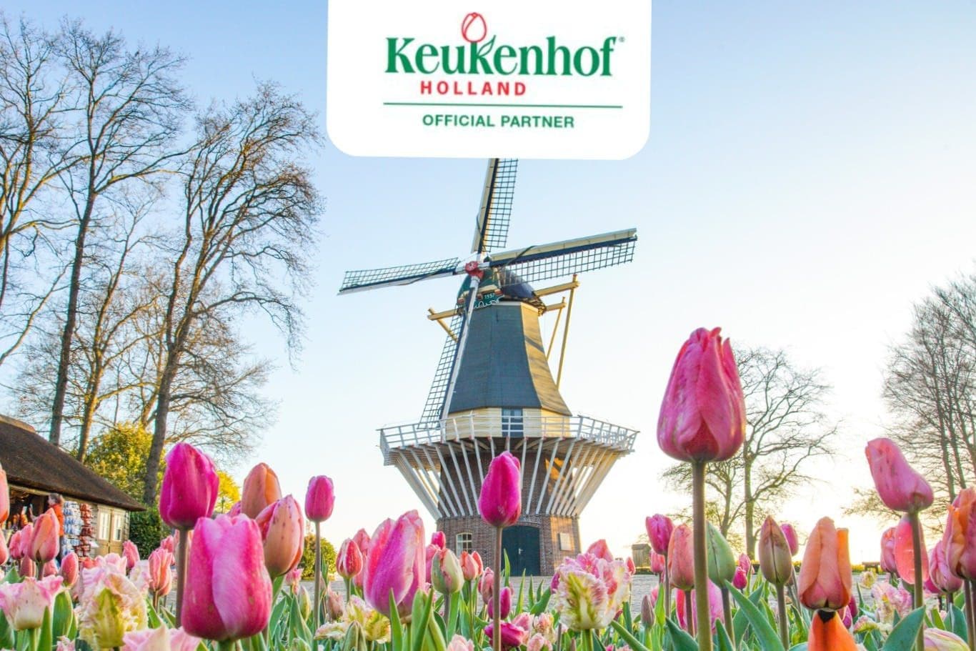 Billet Madurodam et Keukenhof : Excursion d'une journée depuis Amsterdam
