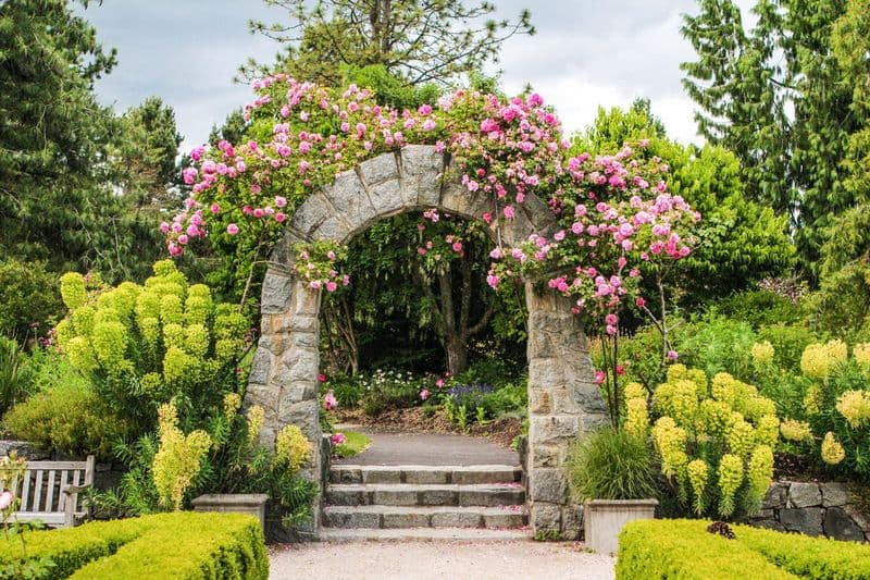 Billet VanDusen Botanical Garden : Billet d'entrée