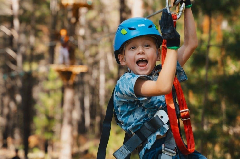 Treetops Adventure Canberra : Parcours d'escalade junior