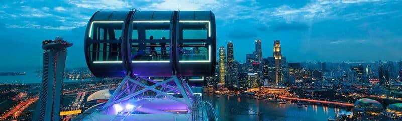 Billet Singapore Flyer + Time Capsule