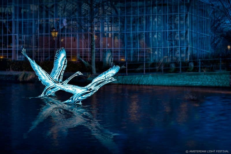 Billet Light Festival: Excursion en bateau à partir de A'DAM Lookout