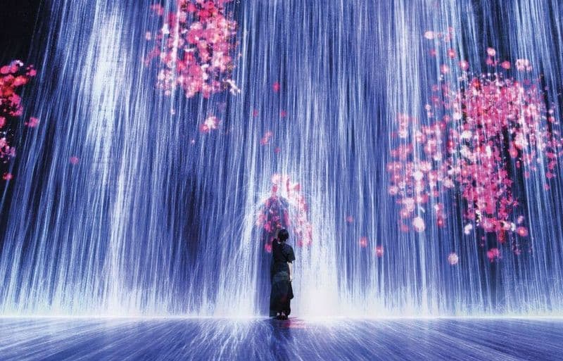 Billet Expérience artistique immersive Superblue Miami feat. teamLab