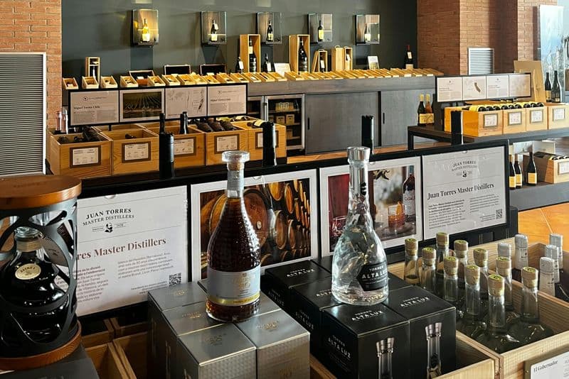 Billet Barcelone : Visite guidée du vignoble Familia Torres + dégustations