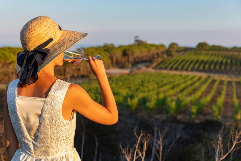 Dégustation de vins et visite de la cave de l'auteur