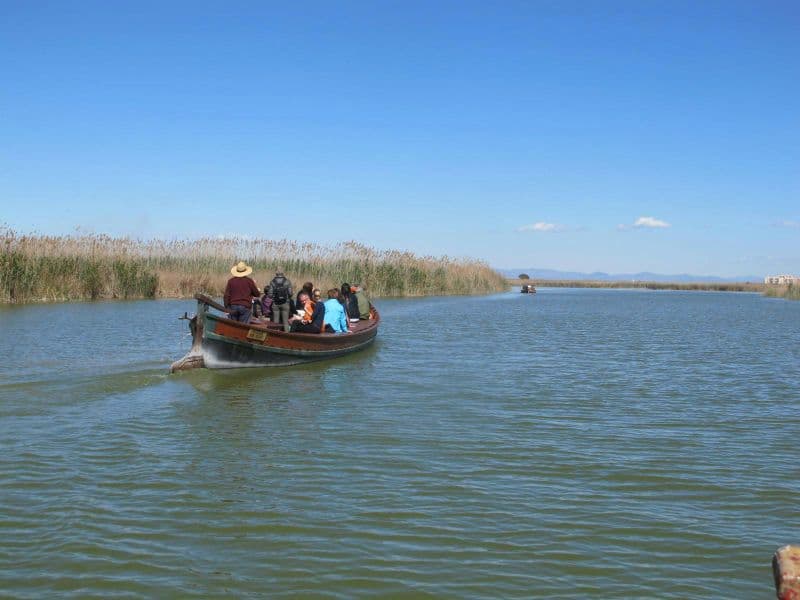 Billet Albufera : bus & bateau depuis Valence
