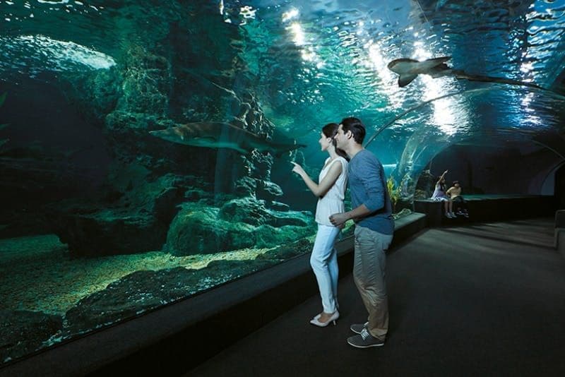 Billet SEA LIFE Bangkok Ocean World & Madame Tussauds
