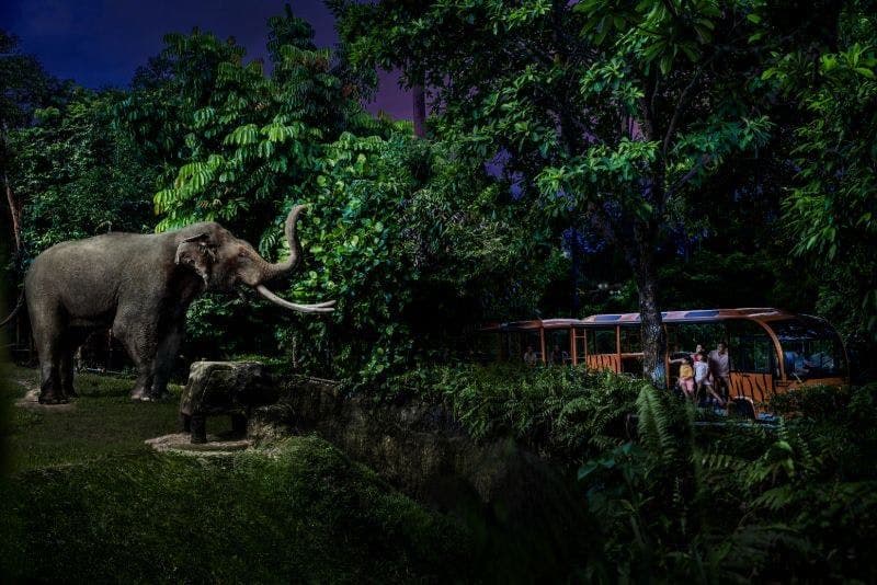 Singapore Night Safari avec le trajet en tram