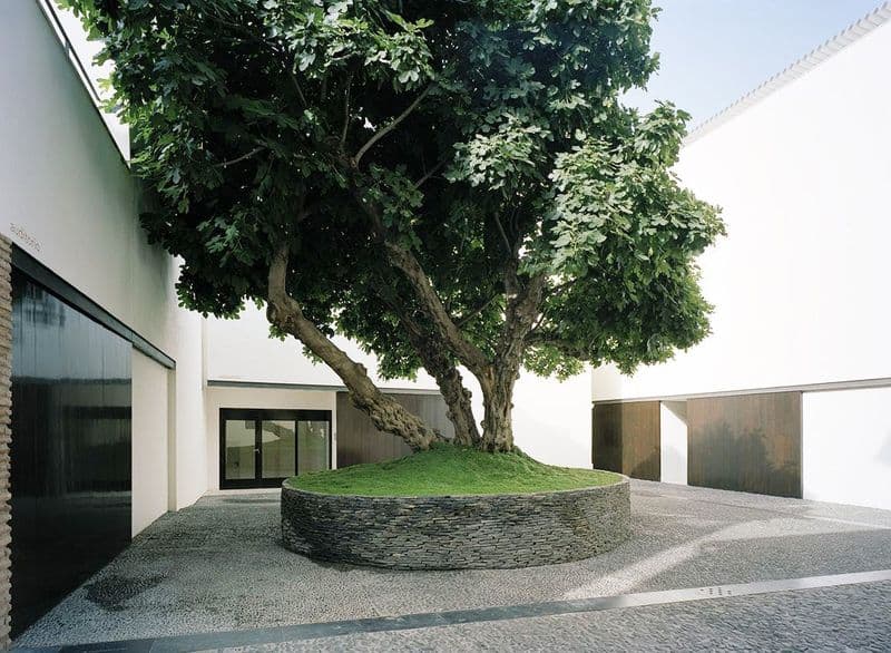 Museo Picasso Málaga : Visite guidée