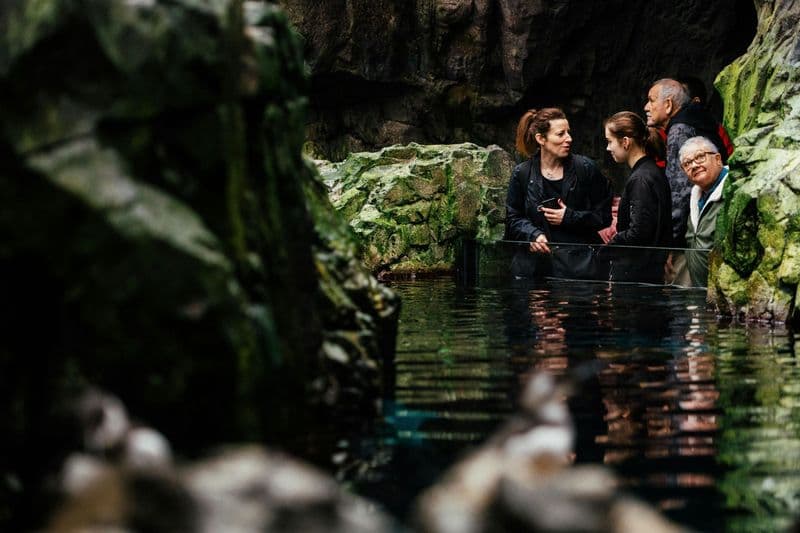 Oceanário de Lisboa : Visite guidée