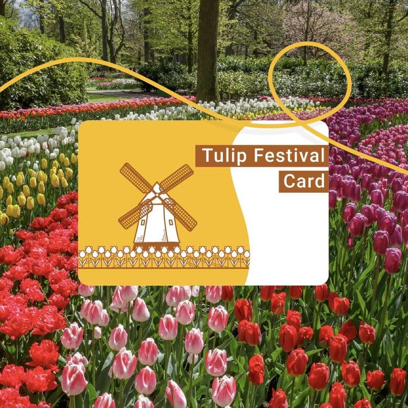 Billet Tulip Festival Card