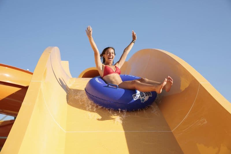 Billet Wave Island: Billet d'entrée