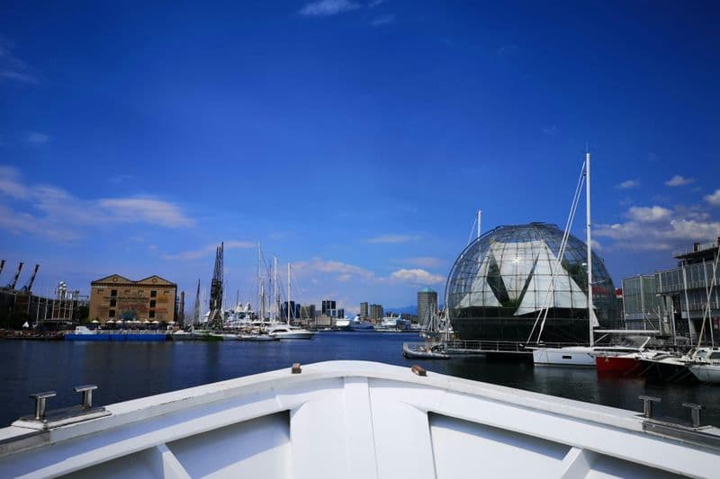 Billet Visite du port de Gênes en bateau