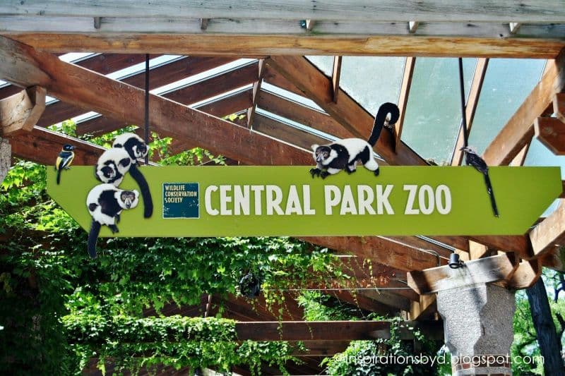 Billet New York : 30+ Top Sights Walking Tour + entrée au zoo de Central Park