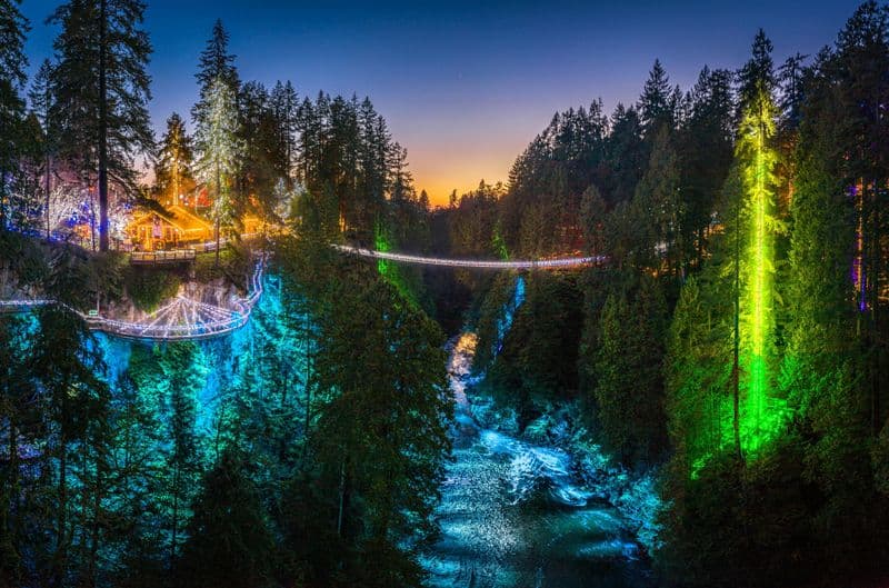 Billet Parc du pont suspendu de Capilano : Billet d'entrée