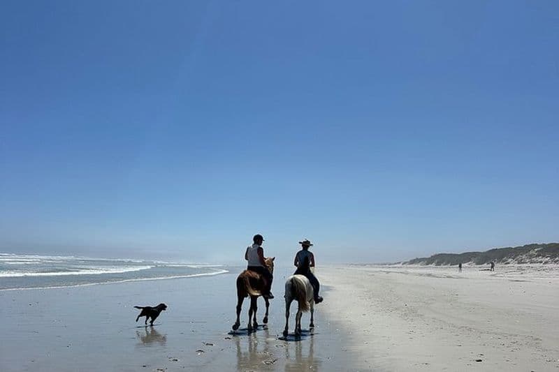 Balade à cheval sur la plage à Yzerfontein, Cap-Occidental