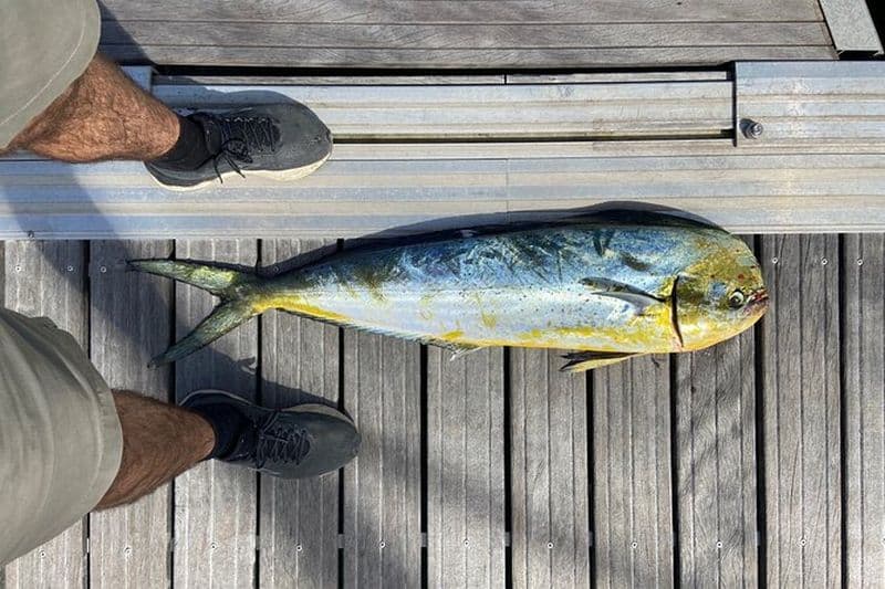 Expérience de pêche en mer dans le golfe de Gascogne