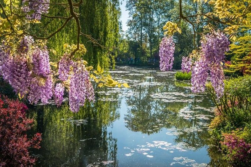 Billet Depuis Paris : Minivan des jardins de Giverny Monet (Hôtel/Point de rencontre)