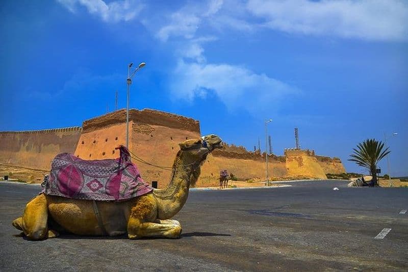 Visite de la ville d'Agadir, parc Croco et massage Hamam (pack)
