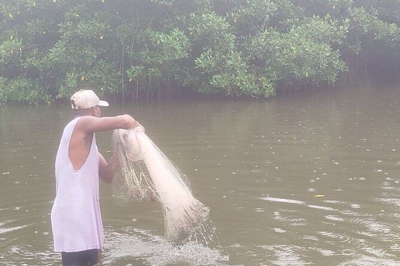 Expérience de pêche avec des autochtones dans les mangroves de Boquilla