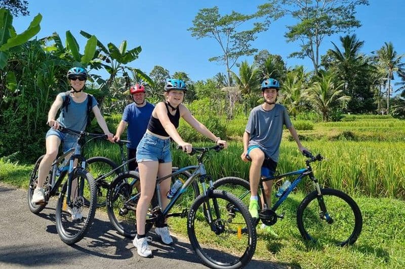 Ubud : descente à vélo avec volcan, rizières en terrasses et repas