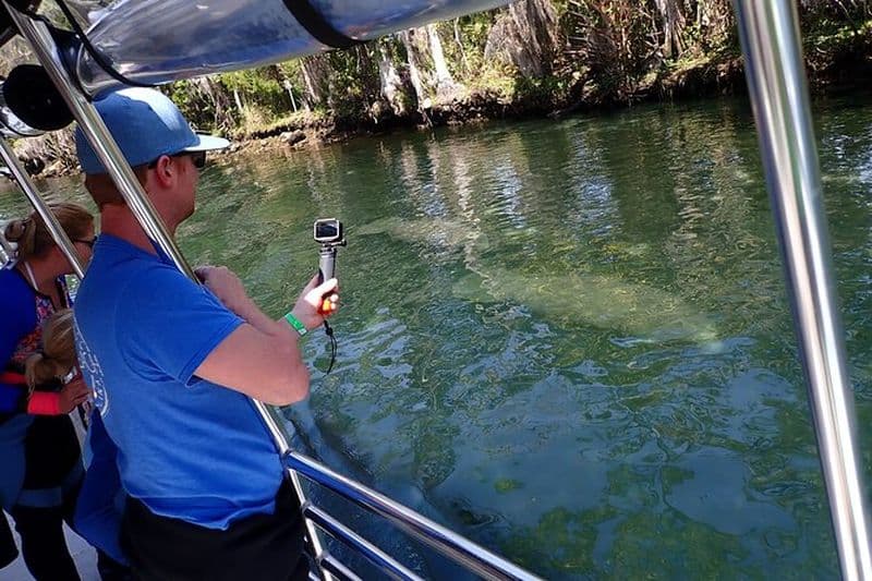 Croisière d'observation des lamantins sur la rivière Crystal
