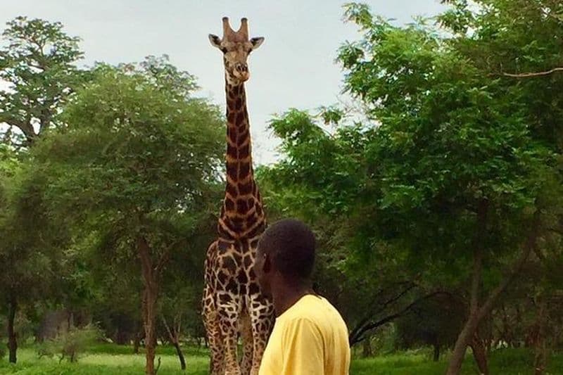 Parc Bandia et lac rose