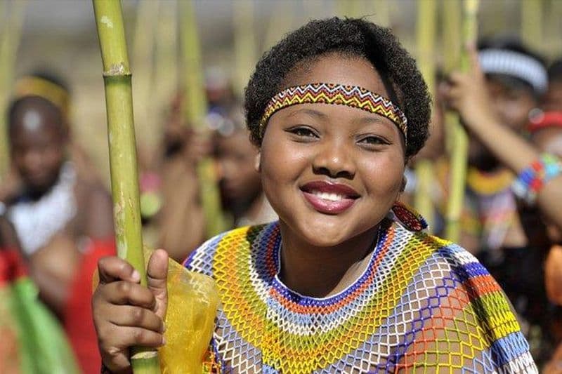 Excursion d'une journée dans la danse royale du roseau au départ de Durban