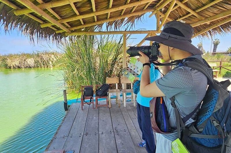 Observation des oiseaux à la Punta avec cuisine locale + prise en charge à l'aéroport