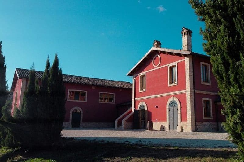 Visite et dégustation au domaine viticole Erasmo, proposant des vins emblématiques.