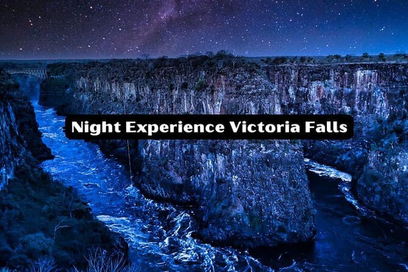 Observation des étoiles à l'état sauvage - Expérience Bush avec 4x4