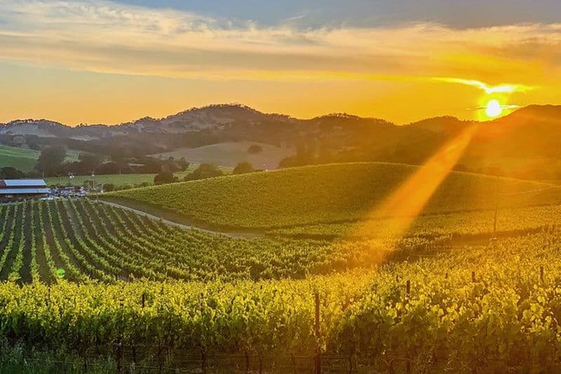 Visite privée de la région viticole avec services de photographie