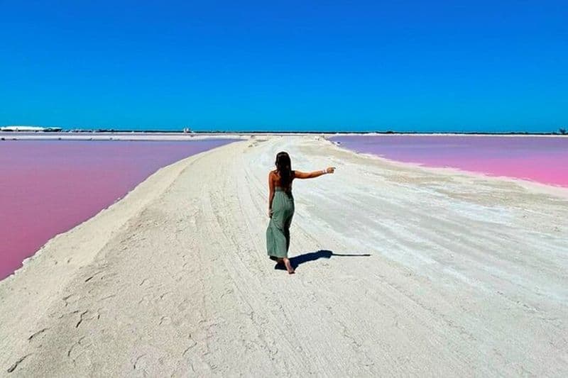 Safari à Rio Lagartos, Coloradas et bain maya