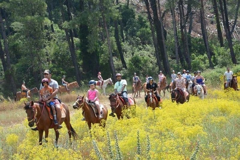 Équitation depuis le port de Kusadasi / Hôtels