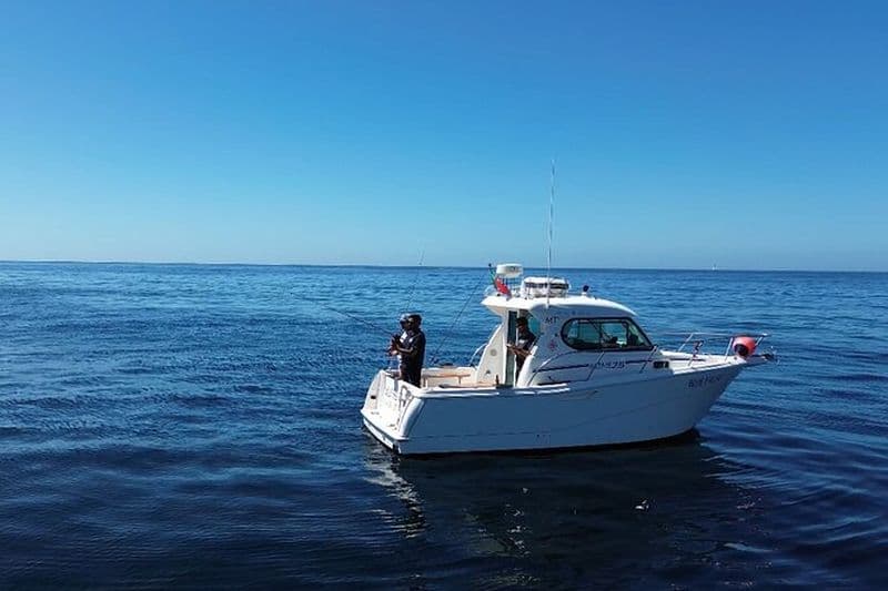 Explorez Sesimbra Pêche sportive