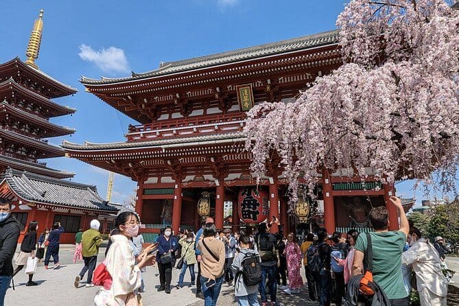 Visite en voiture privée de Tokyo: guide professionnel et chauffeur / transfert aéroport en option