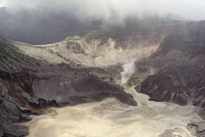 Volcan, source chaude, usine de thé, rizières et visite du café