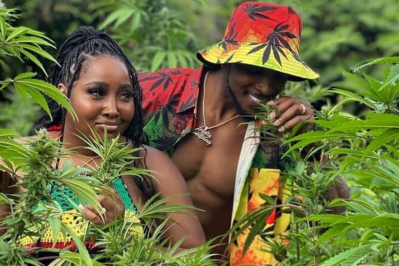 Visite interactive des herbes exotiques, des oiseaux et des animaux de Montego Bay