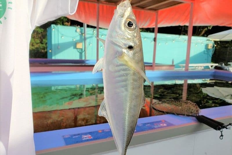 Étang de pêche en eau de mer et expérience barbecue Hamayaki Grill